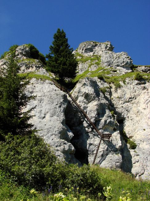 e-te Felsstufe des Pinut - historischer Klettersteig bei Flims - Fidaz